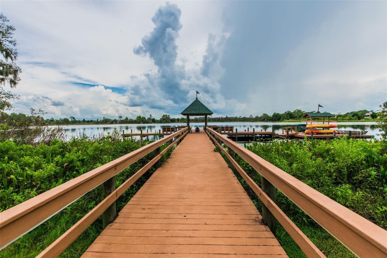 21500 Cormorant Cove Drive, Land O Lakes, FL 34637 Photo