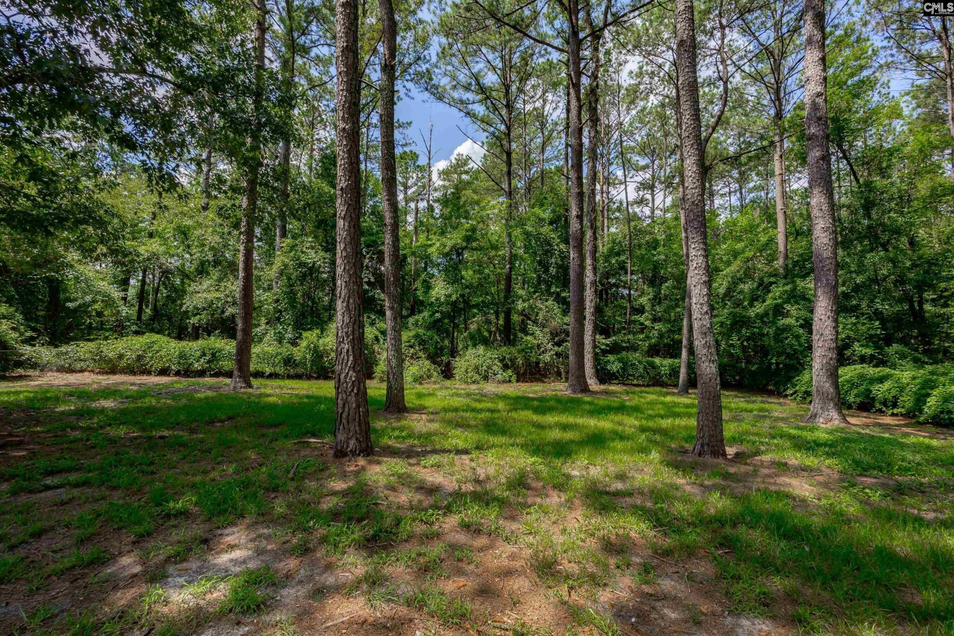 209 Brookside Lane  Photo 31