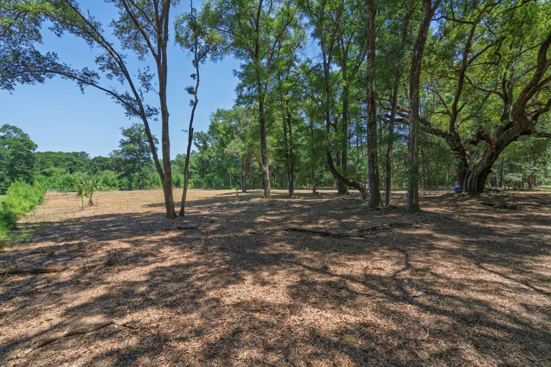 1448 Marsh Bluff Court Photo 11