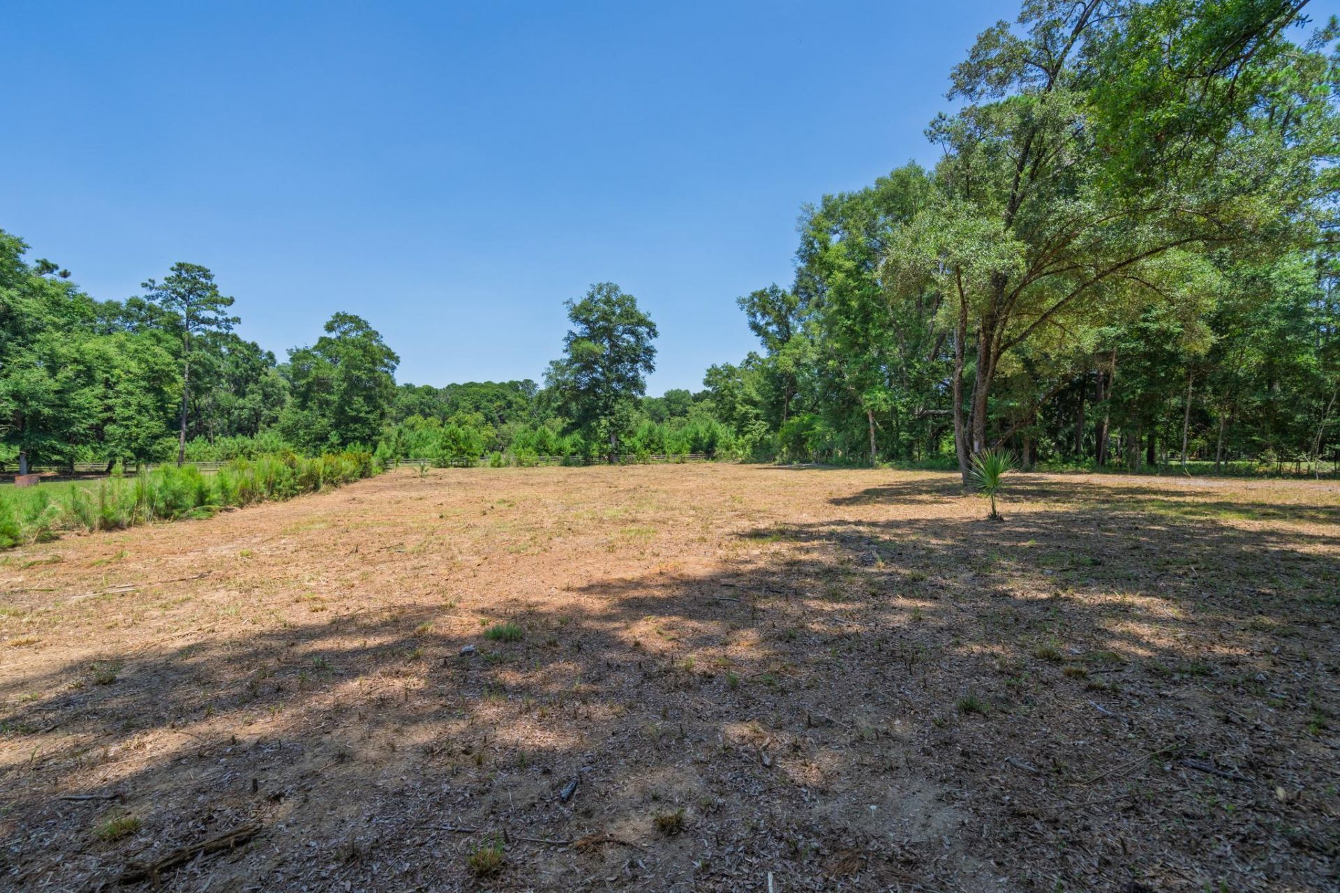 1448 Marsh Bluff Court Photo 12