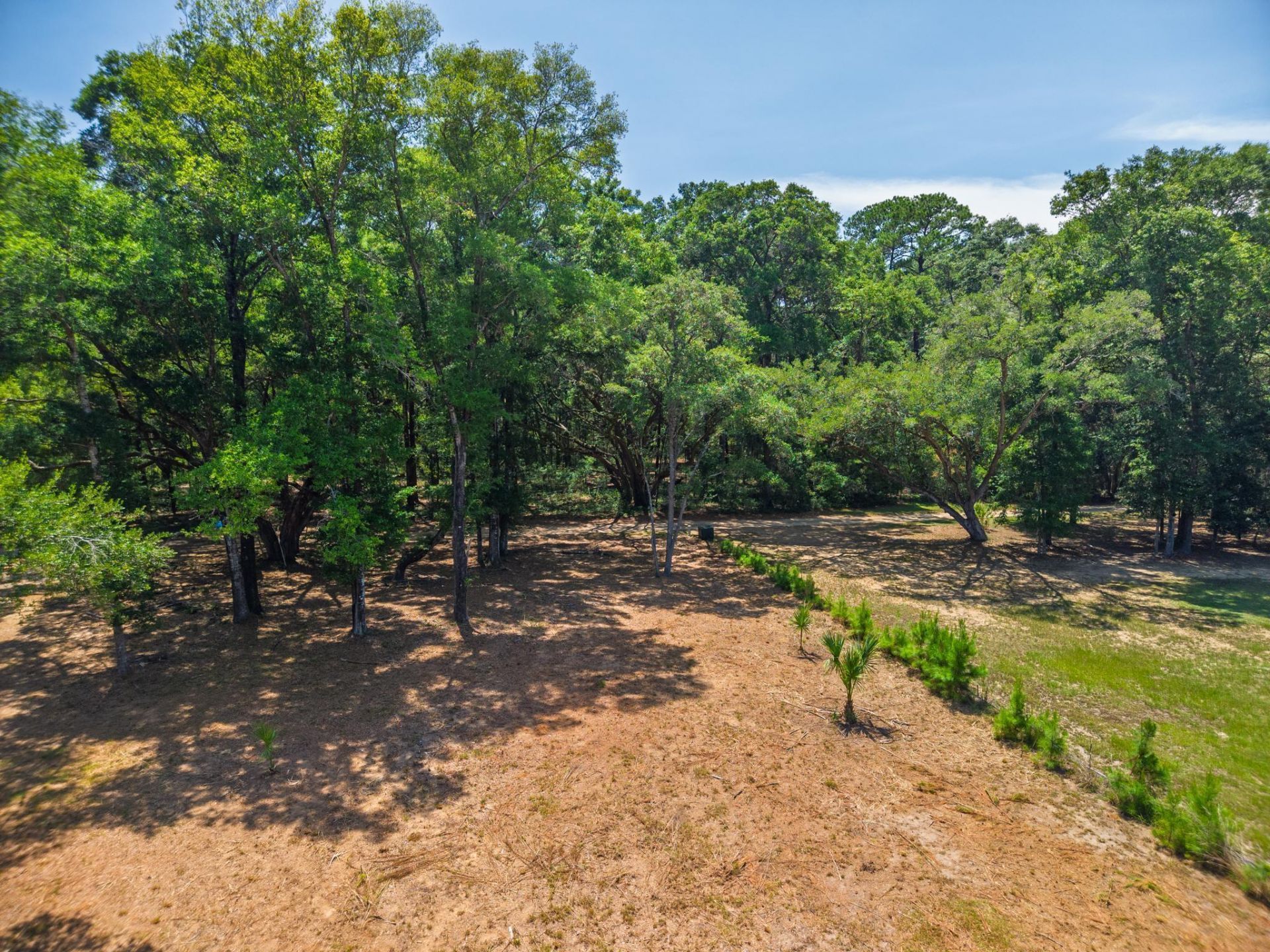 1448 Marsh Bluff Court Photo 16