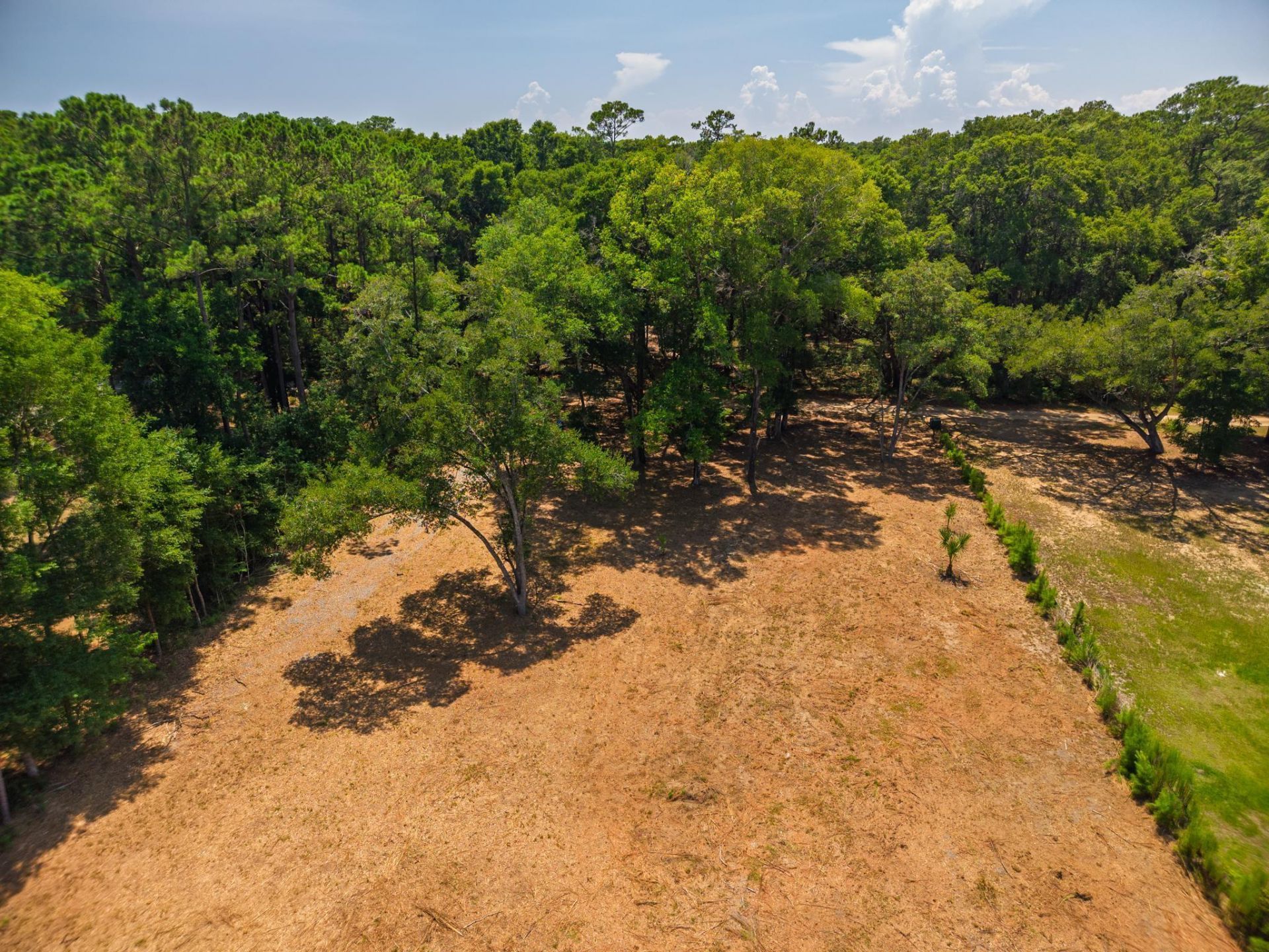 1448 Marsh Bluff Court Photo 6
