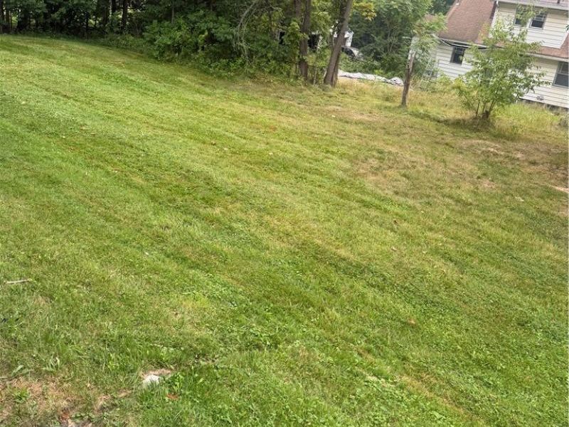 243 Marmion Avenue, Youngstown, OH 44507 Photo 3