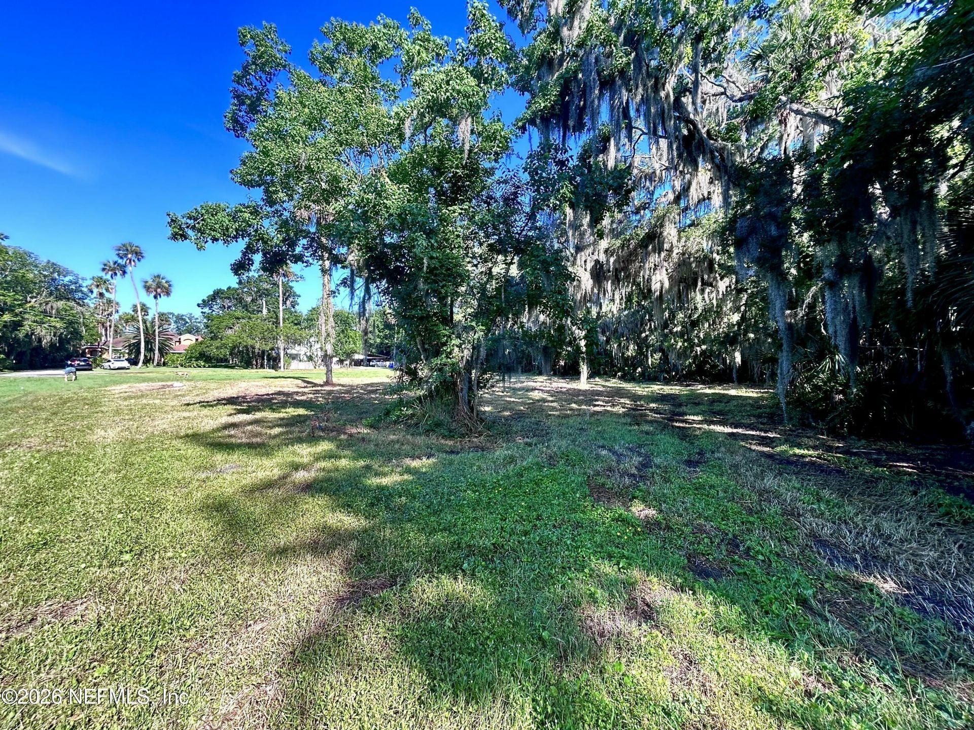 16 Palm Lane, Palm Valley, FL 32082 Photo
