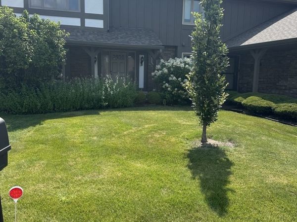 13985 Millbank Drive , Orland Park, IL 60462