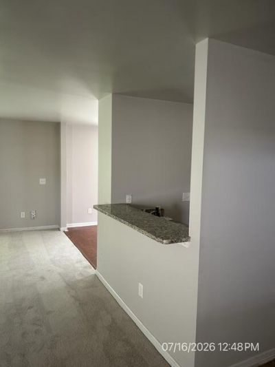 153 Coosawatchie Street Photo 10