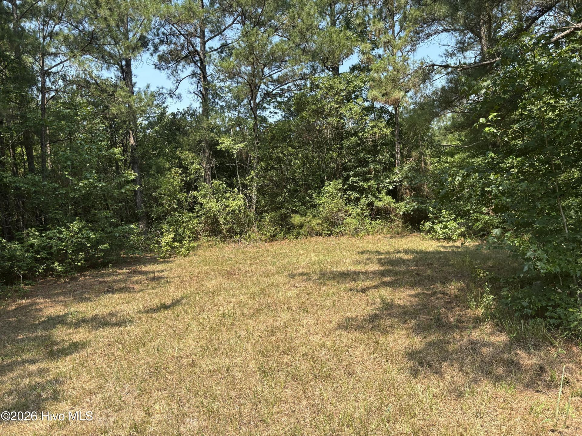 1721 Small Town Road, Pink Hill, NC 28572 Main Photo