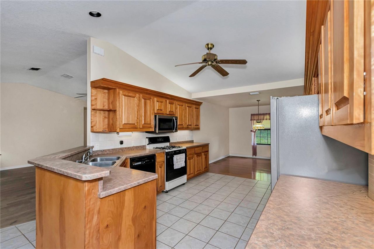 17690 SE 66 Place, Morriston, FL 32668 Photo