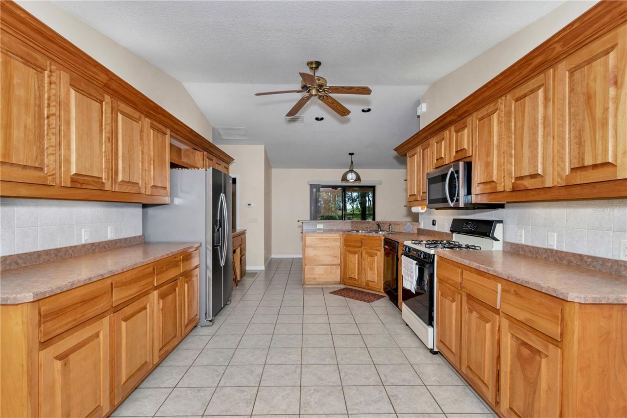 17690 SE 66 Place, Morriston, FL 32668 Photo