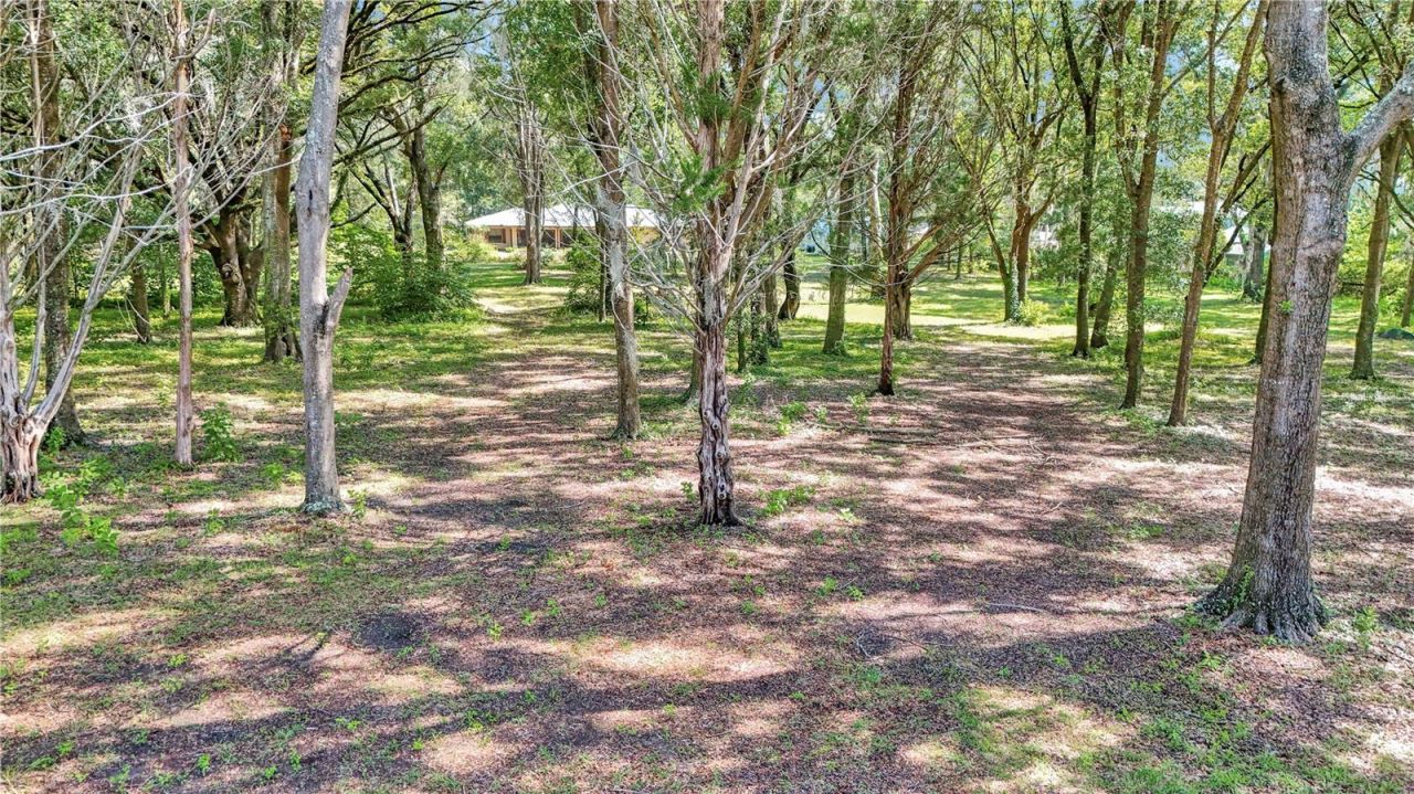 17690 SE 66 Place, Morriston, FL 32668 Photo