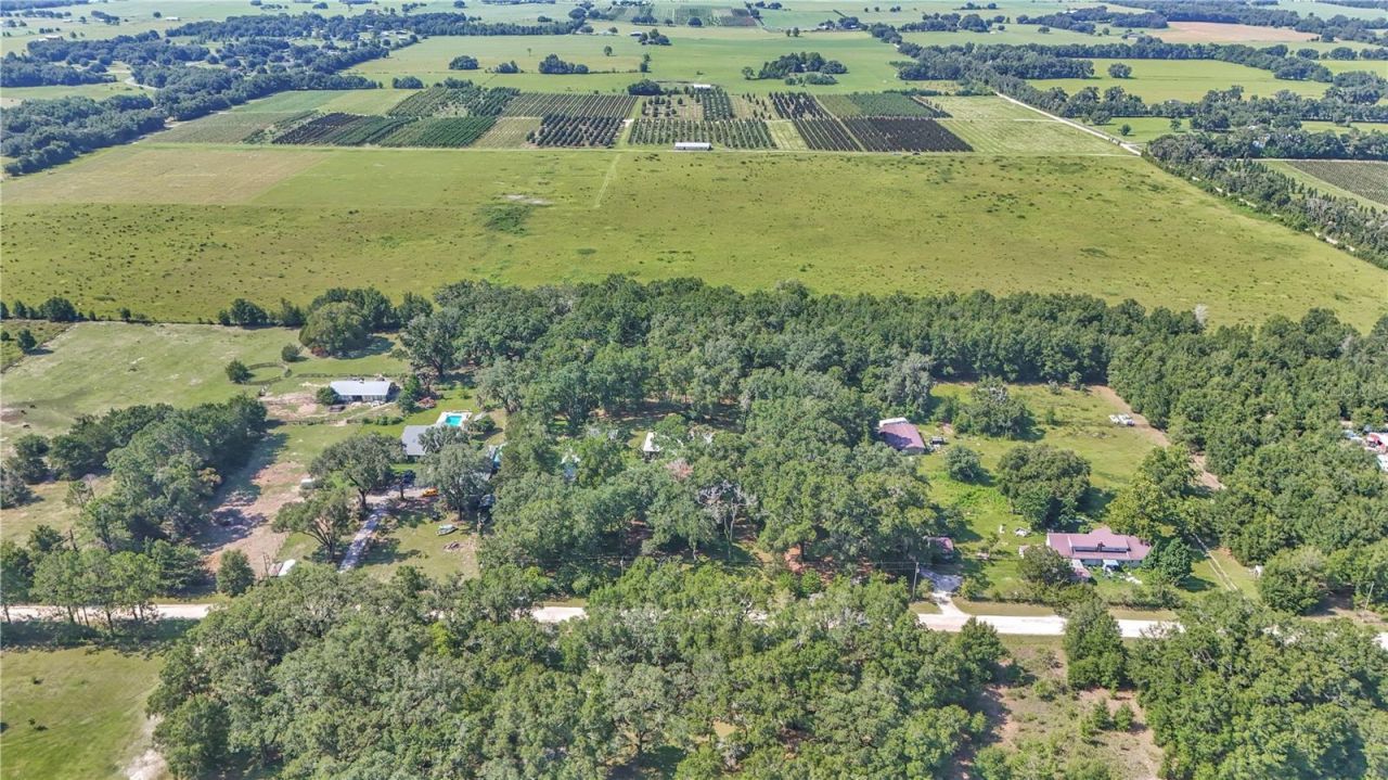 17690 SE 66 Place, Morriston, FL 32668 Photo