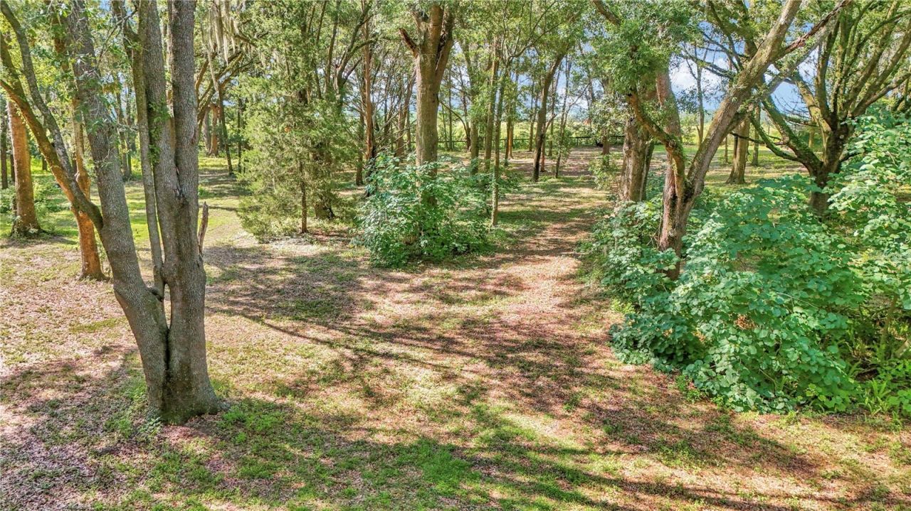 17690 SE 66 Place, Morriston, FL 32668 Photo