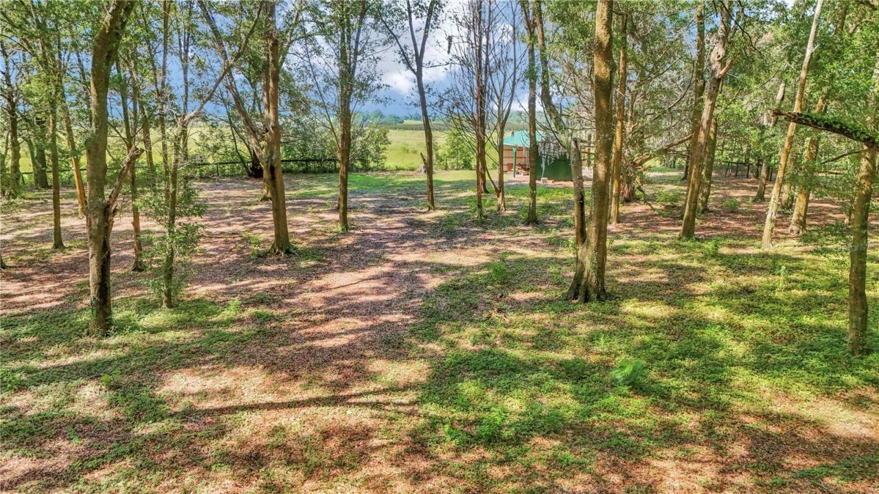 17690 SE 66 Place, Morriston, FL 32668 Photo