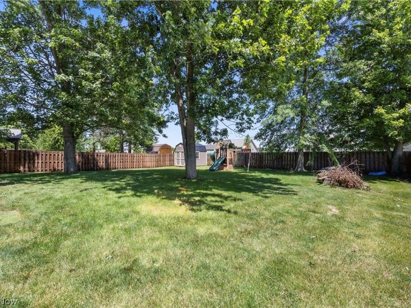 1193 Elm Street, Grafton, OH 44044 Photo 42