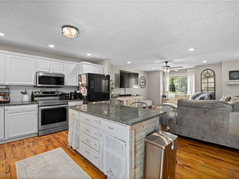 1193 Elm Street, Grafton, OH 44044 Photo 7