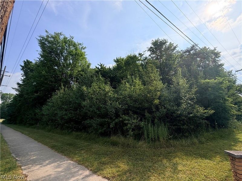Winding Way, Brecksville, OH 44141 Photo 4
