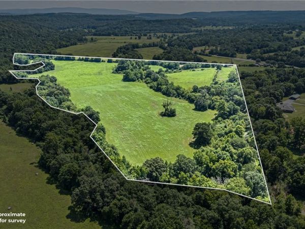 1718 Sr 27 , Dover, AR 72837