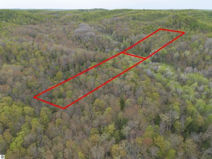 Brookwood Drive East Jordan, MI 49727