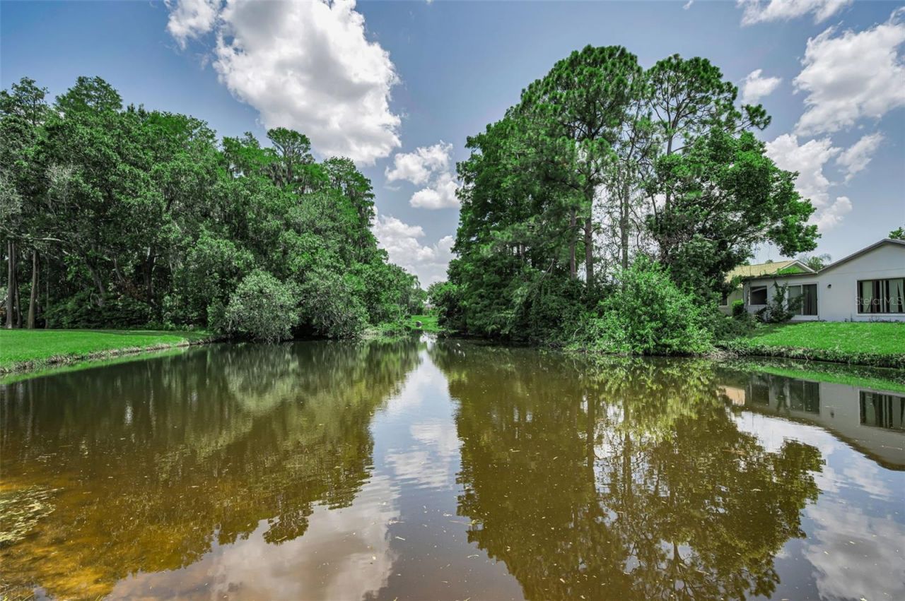 9866 Lopez Drive, New Port Richey, FL 34655 Photo