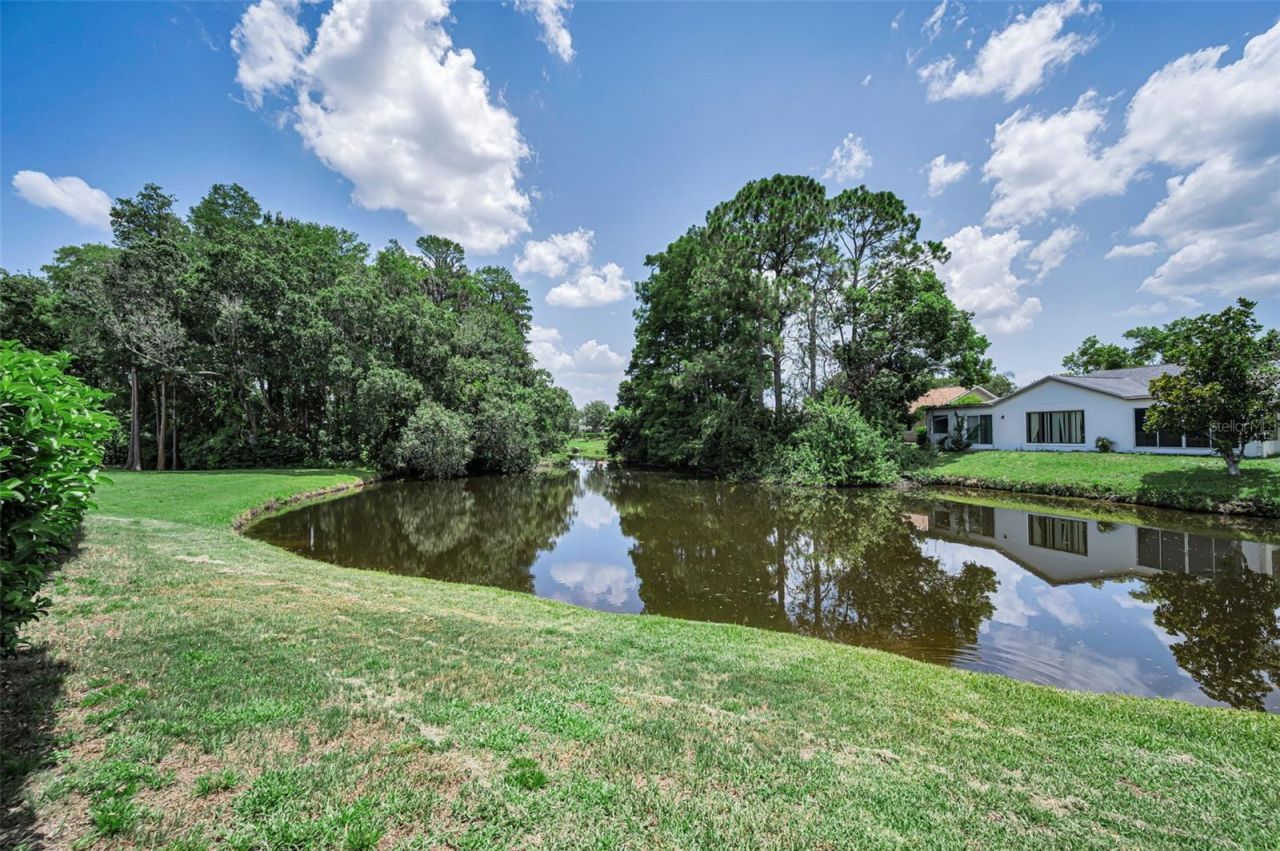9866 Lopez Drive, New Port Richey, FL 34655 Photo
