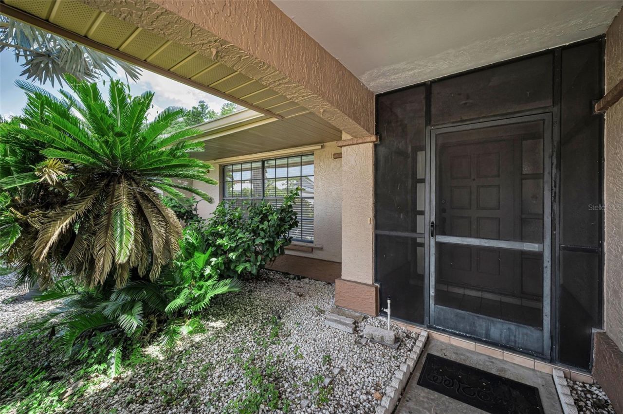 9866 Lopez Drive, New Port Richey, FL 34655 Photo