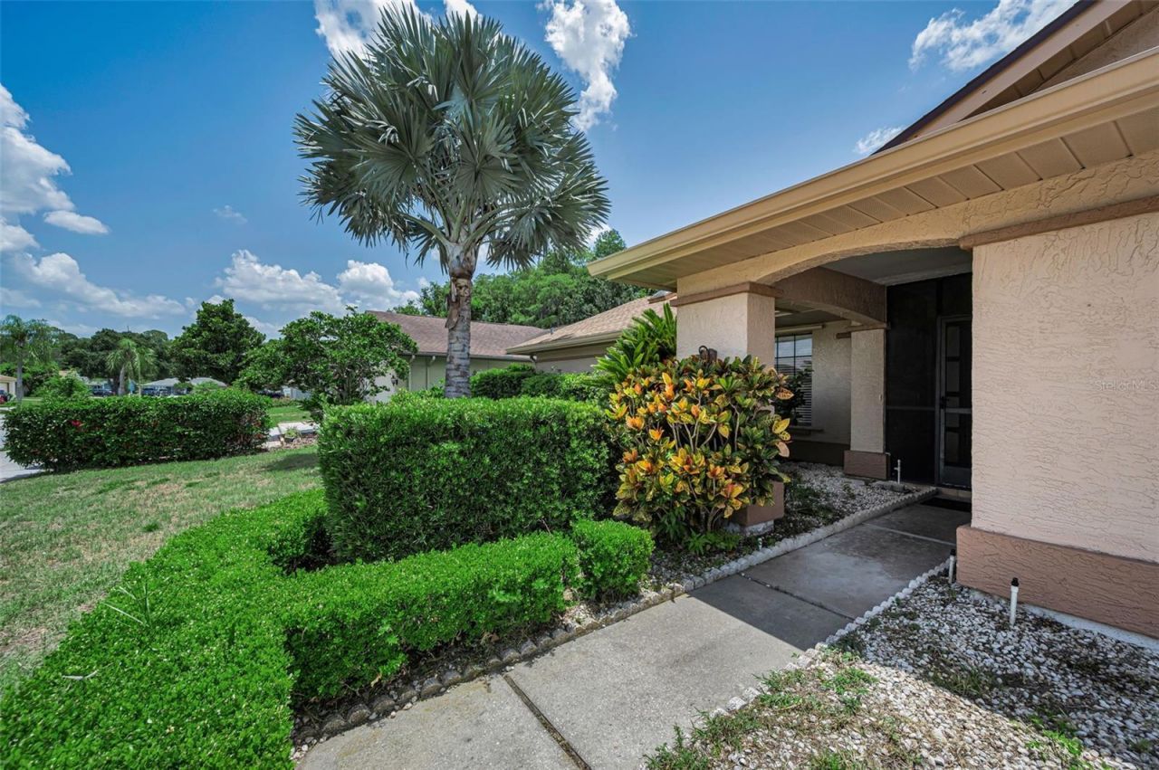 9866 Lopez Drive, New Port Richey, FL 34655 Photo