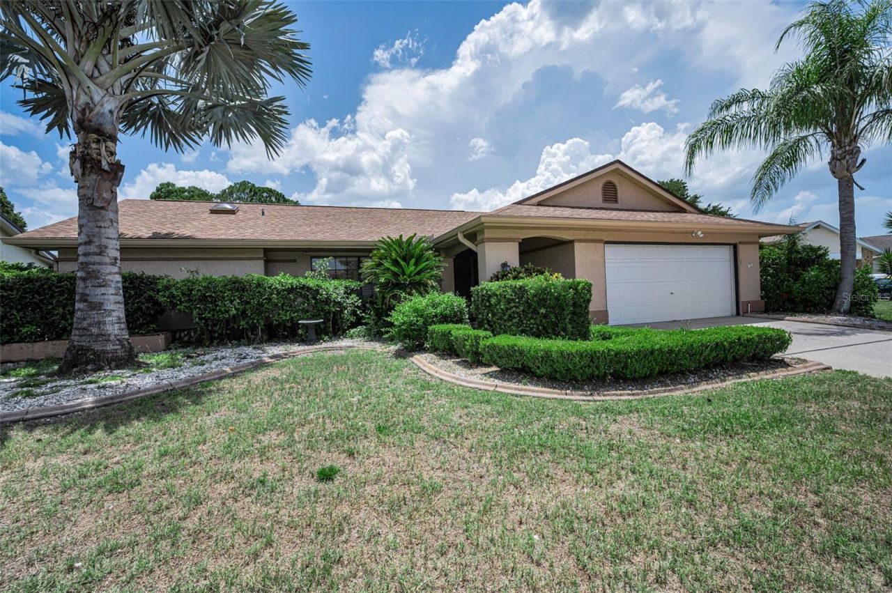9866 Lopez Drive, New Port Richey, FL 34655 Photo