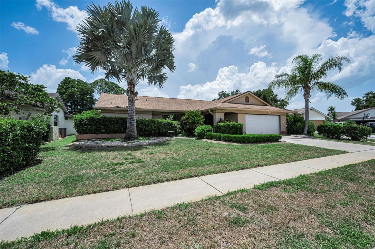 9866 Lopez Drive, New Port Richey, FL 34655 Photo