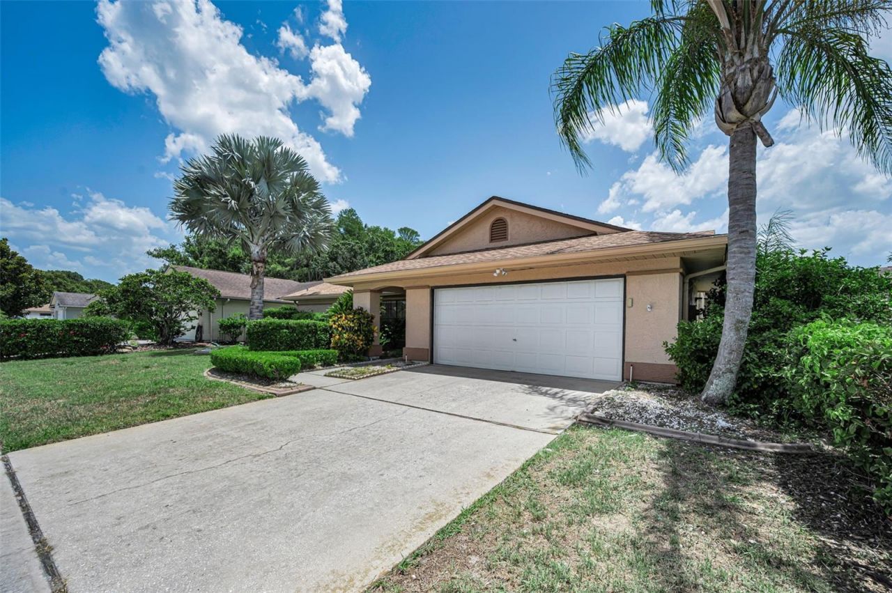 9866 Lopez Drive, New Port Richey, FL 34655 Photo