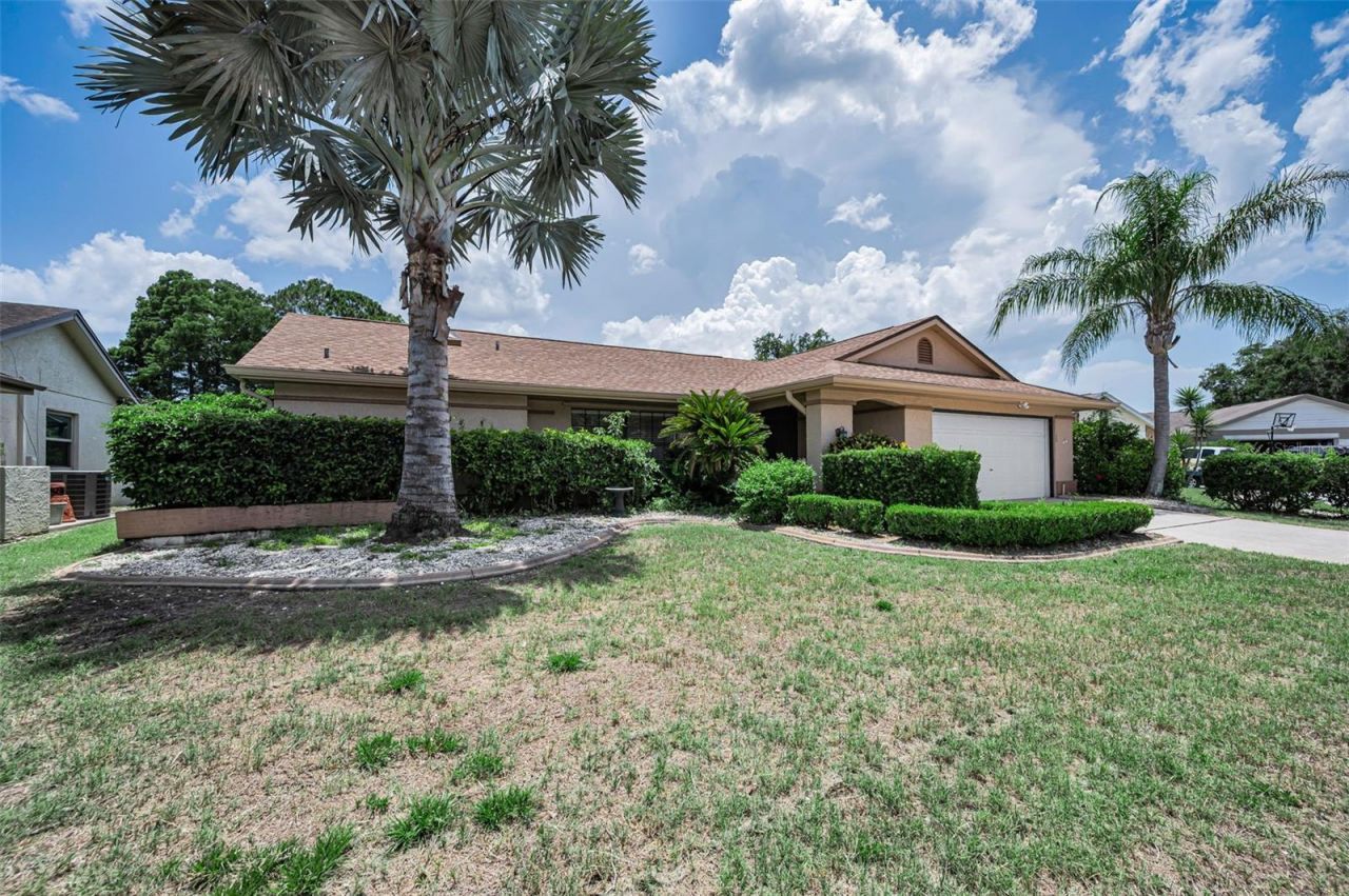 9866 Lopez Drive, New Port Richey, FL 34655 Photo