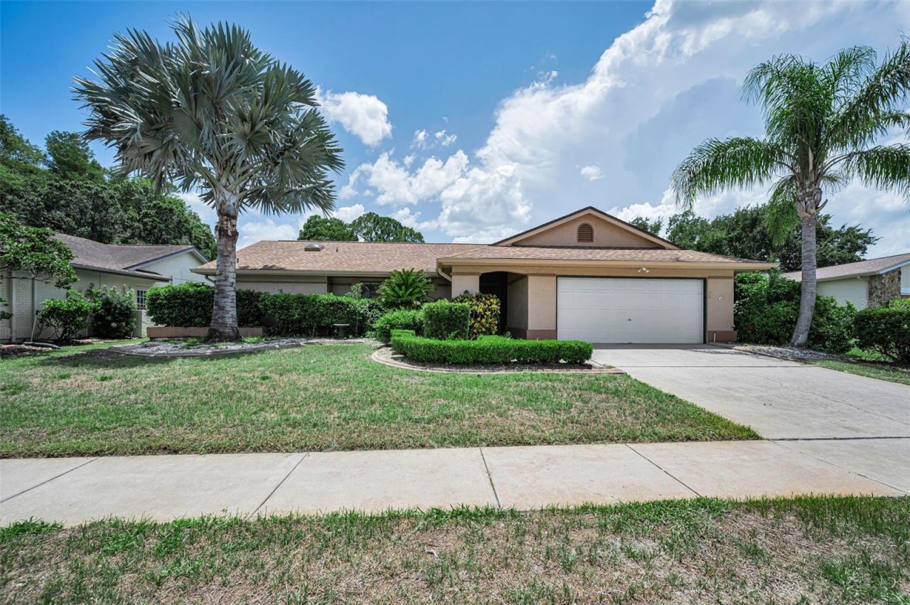 9866 Lopez Drive, New Port Richey, FL 34655 Photo