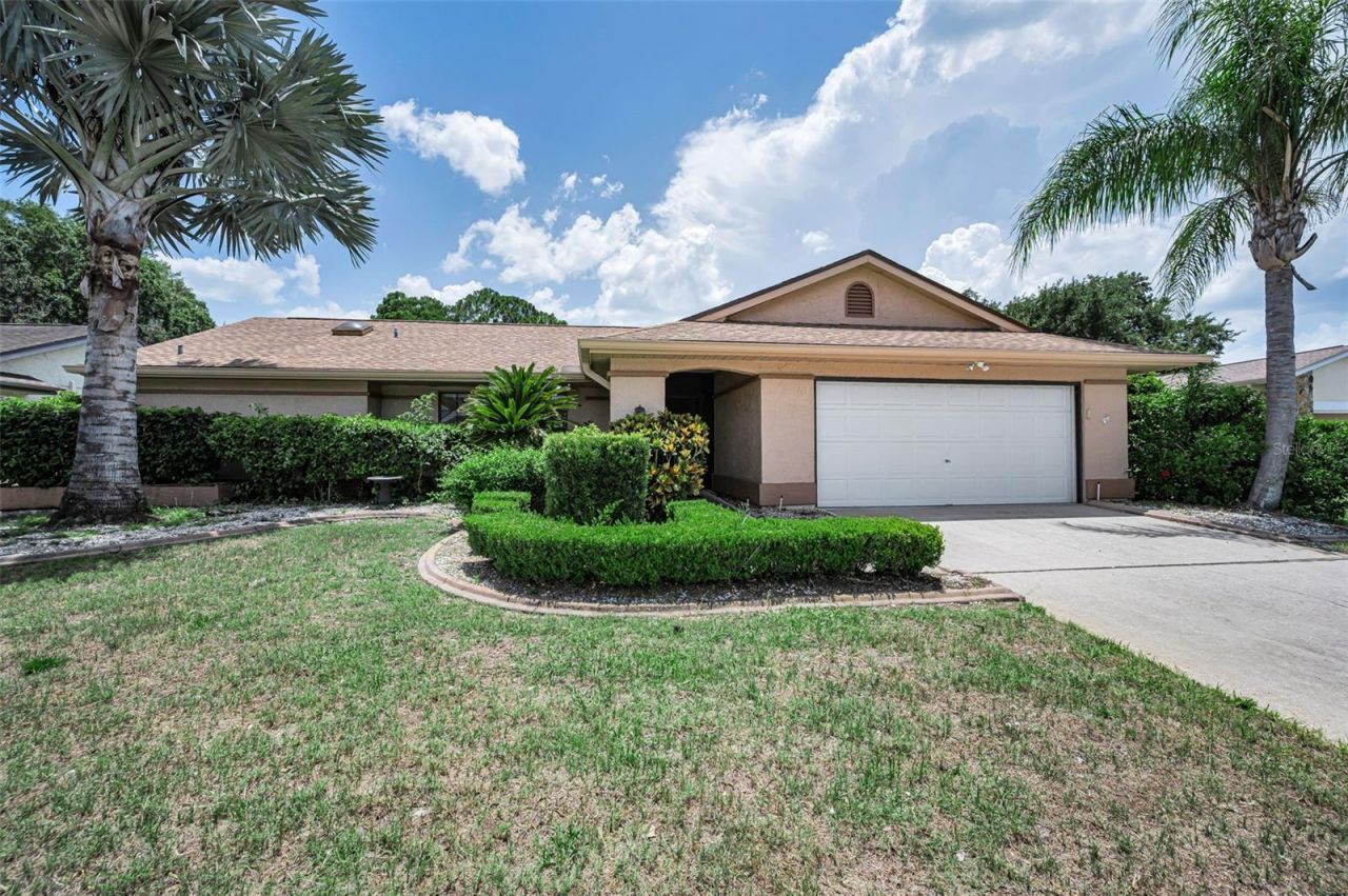 9866 Lopez Drive, New Port Richey, FL 34655 Photo