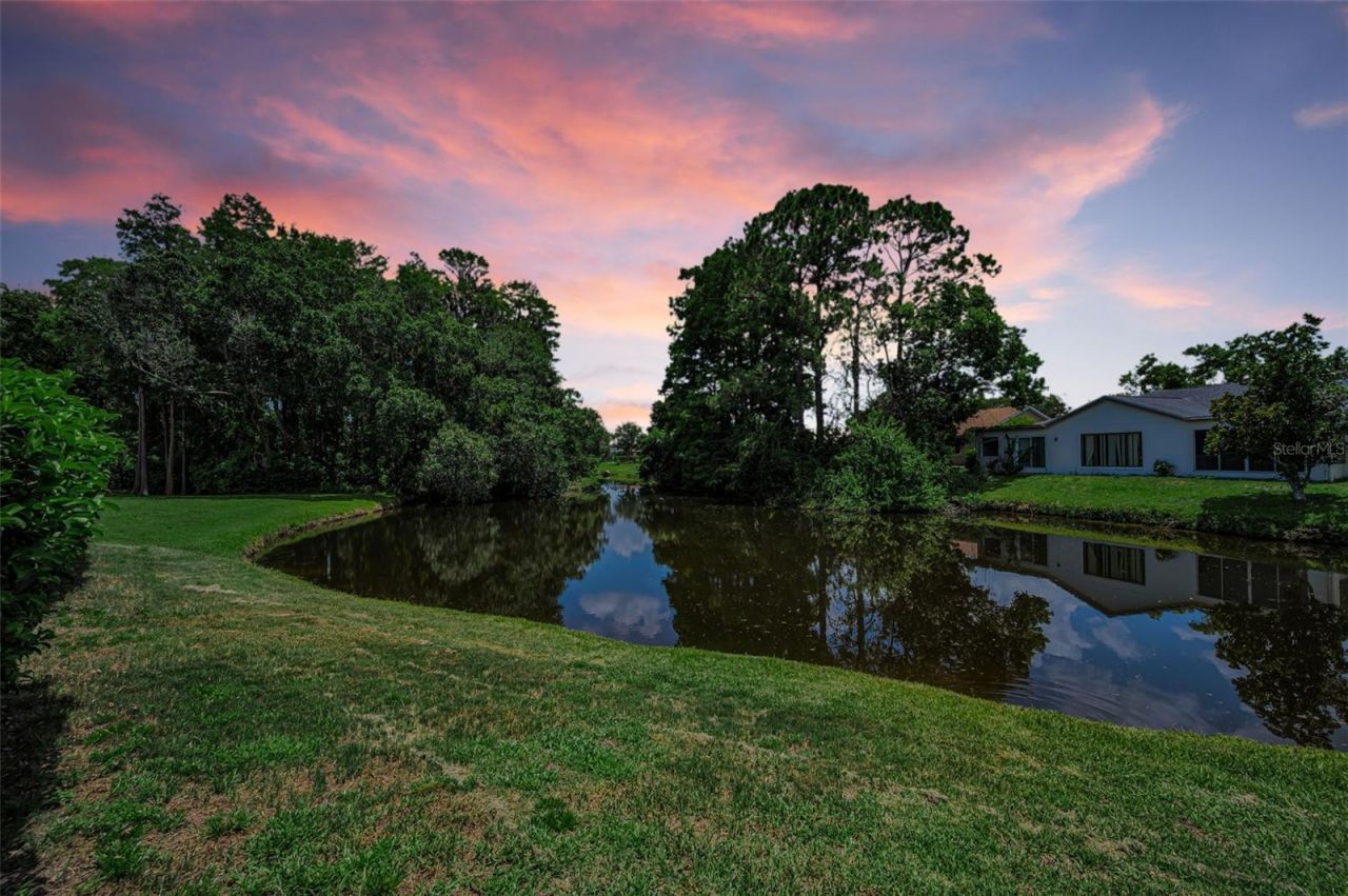 9866 Lopez Drive, New Port Richey, FL 34655 Photo