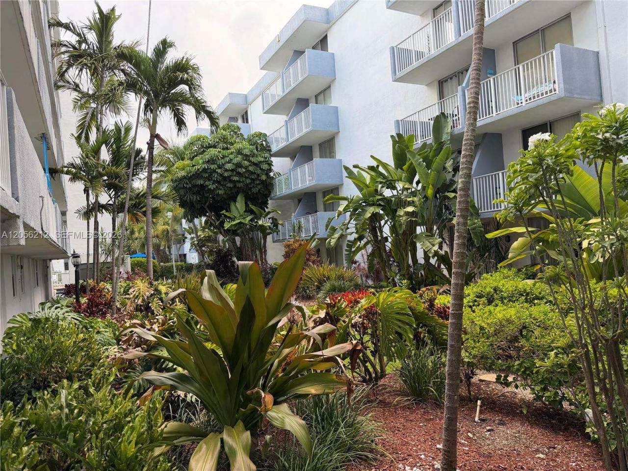 1801 S Treasure Dr, Unit 510, North Bay Village, FL 33141 Photo