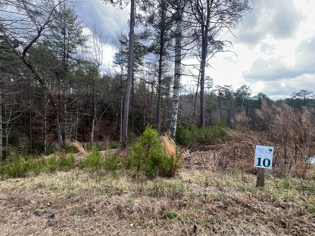 Lot 10 Mountain Laurel Ridge, Mineral Bluff, GA 30559 Main Photo