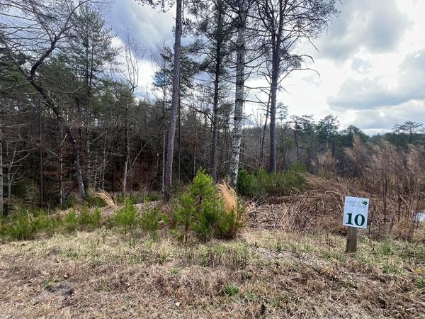 Lot 10 Mountain Laurel Ridge, Mineral Bluff, GA 30559