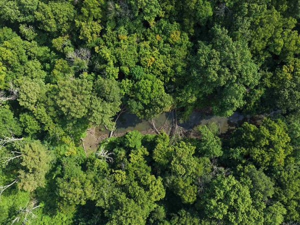De Valls Bluff, AR 72041