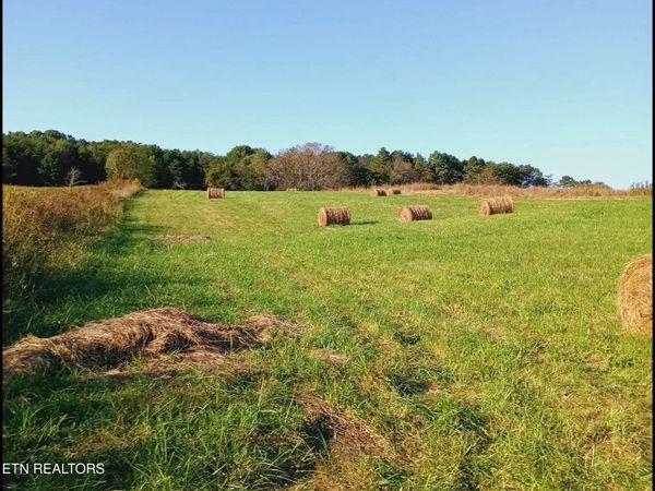 436 Thorngrove Pike, Kodak, TN 37764