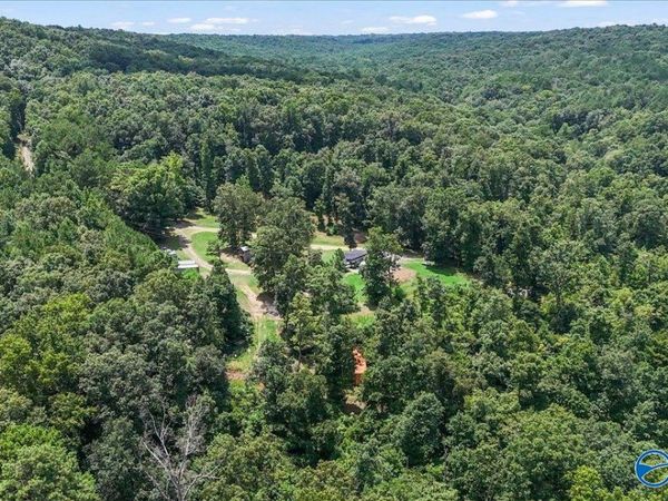 456 Keller Hollow Road, Eva, AL 35621