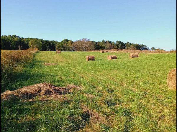 436 Thorngrove Pike, Kodak, TN 37764