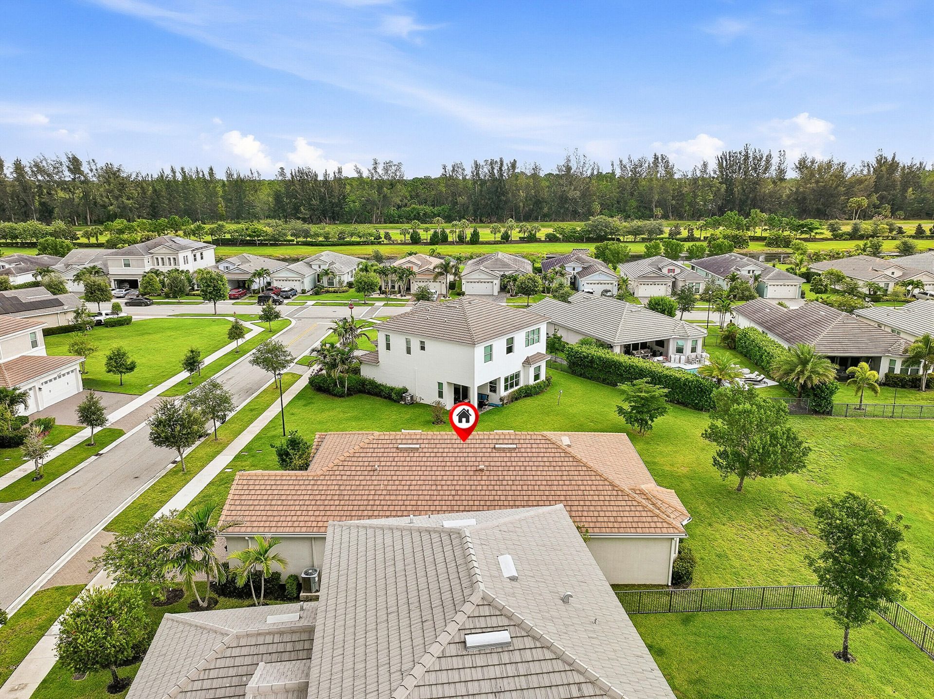 16061 Rain Lilly Way, Westlake, FL 33470 Photo