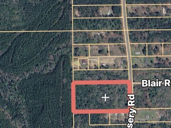 0 Dixon Nursery Road, Brewton, AL 36426