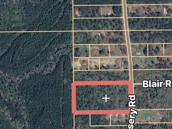 0 Dixon Nursery Road, Brewton, AL 36426