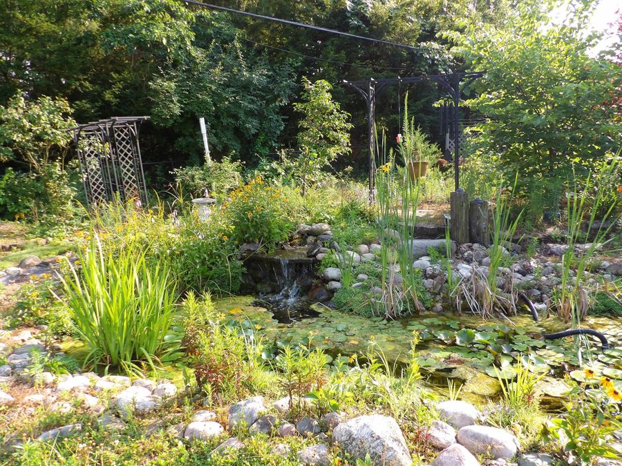 Property Image 45