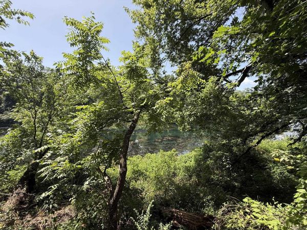 Lot 41 Up River , Heber Springs, AR 72543