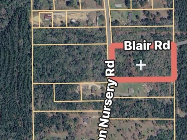 0 Dixon Nursery Road, Brewton, AL 36426