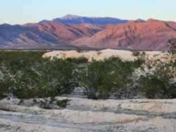 2221 S Zuni Avenue , Pahrump, NV 89048