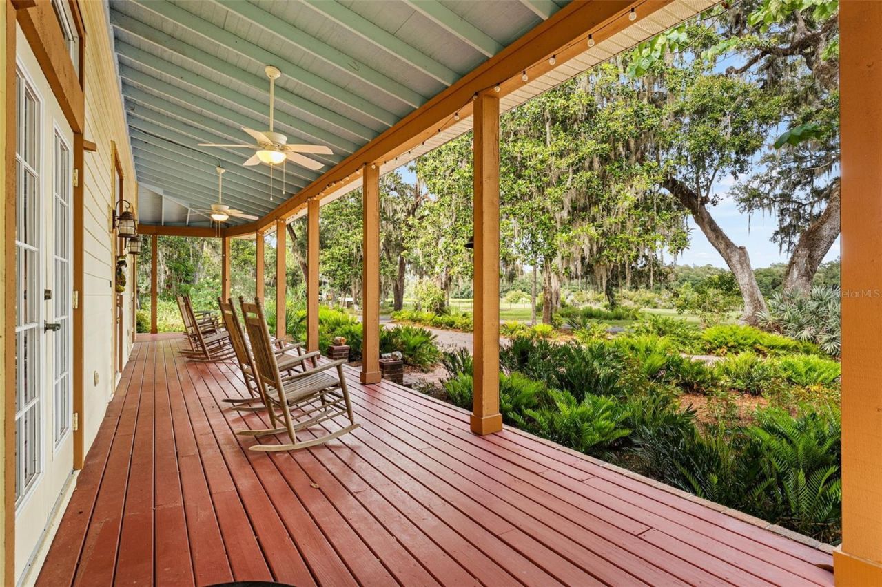 33415 Kiefer Road , Wesley Chapel, FL 33545 Photo