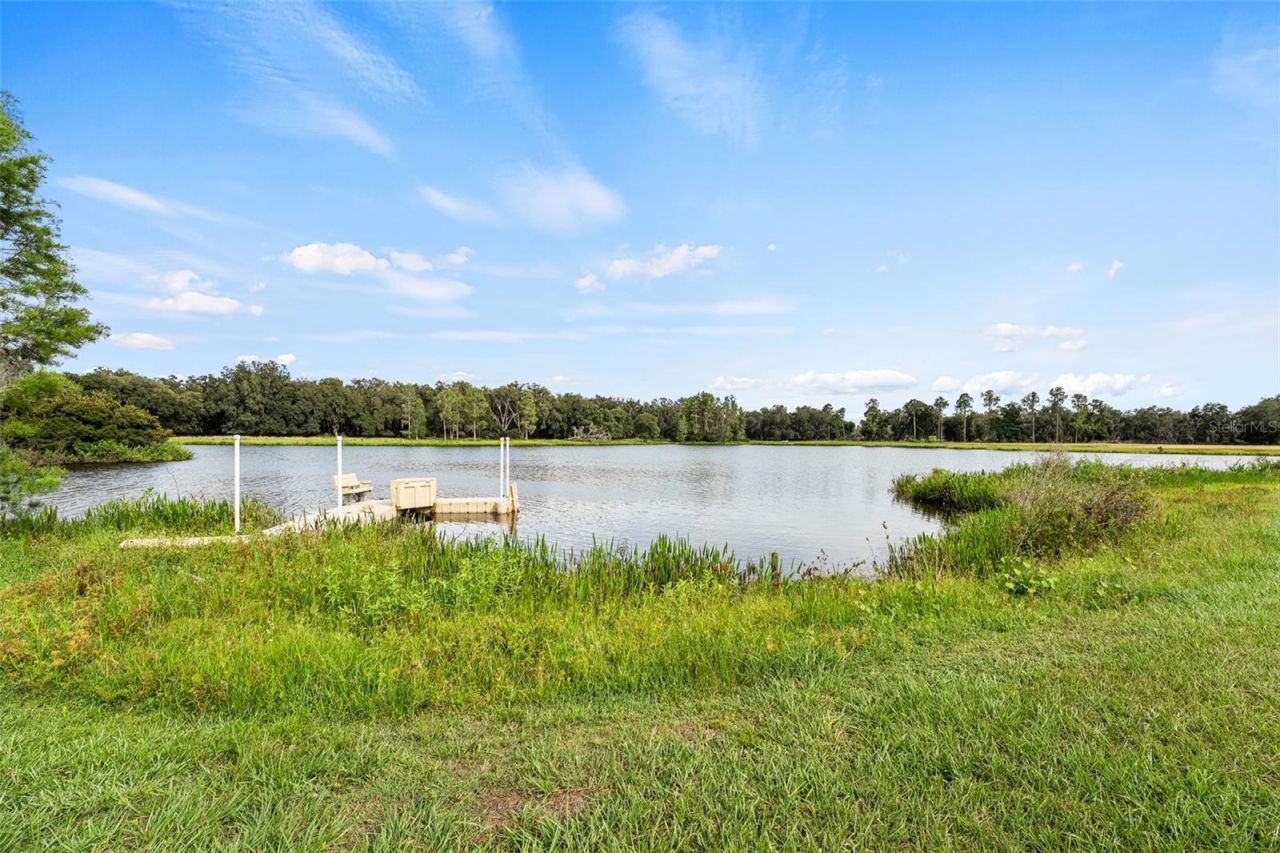 33415 Kiefer Road , Wesley Chapel, FL 33545 Photo