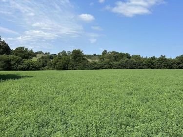 Lot #2 Lucy Lane, Cynthiana, KY 41031